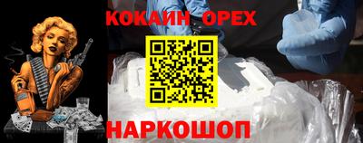 индика Новодвинск