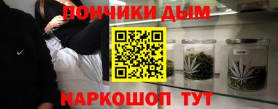 индика Новодвинск