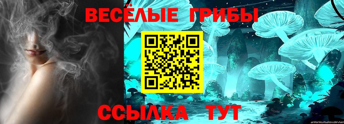 Псилоцибиновые грибы ЛСД  Вход с VPN  Углич  Псилоцибиновые грибы GOLDEN TEACHER 